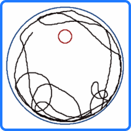 動画を表示 円を描くタイプ 咬み合わせの悪いマウス