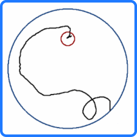 動画を表示　円を描くタイプ　咬み合わせの悪いマウス